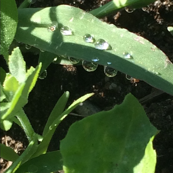 Follow Game, Like, Follow, Share, Repeat" - Picture 3 of 8